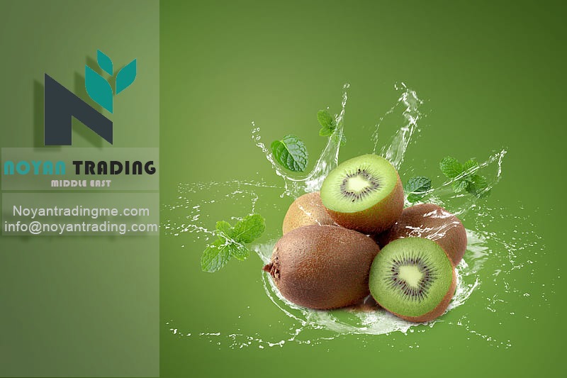 واردات کیوی