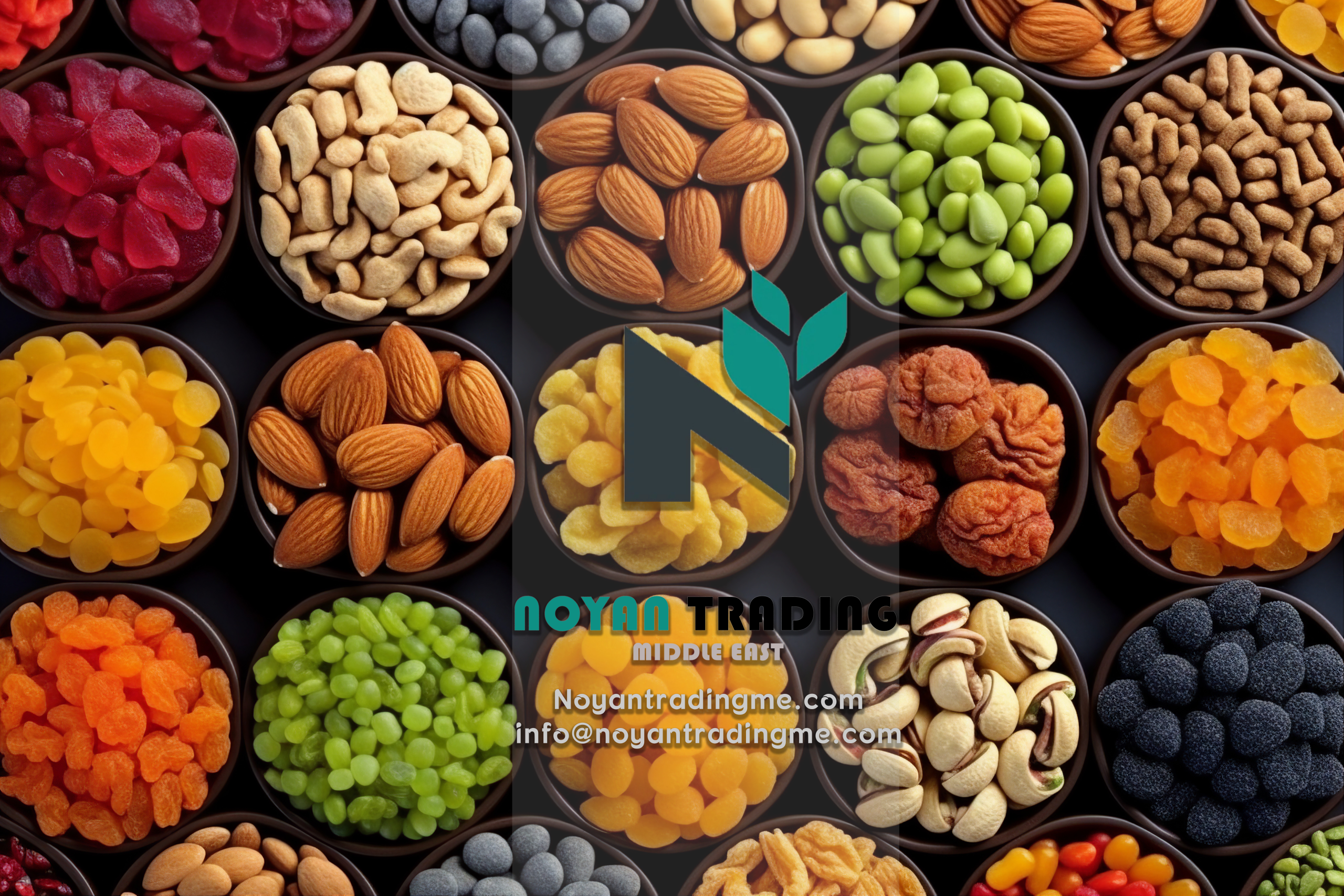 Noyan trading Middle East