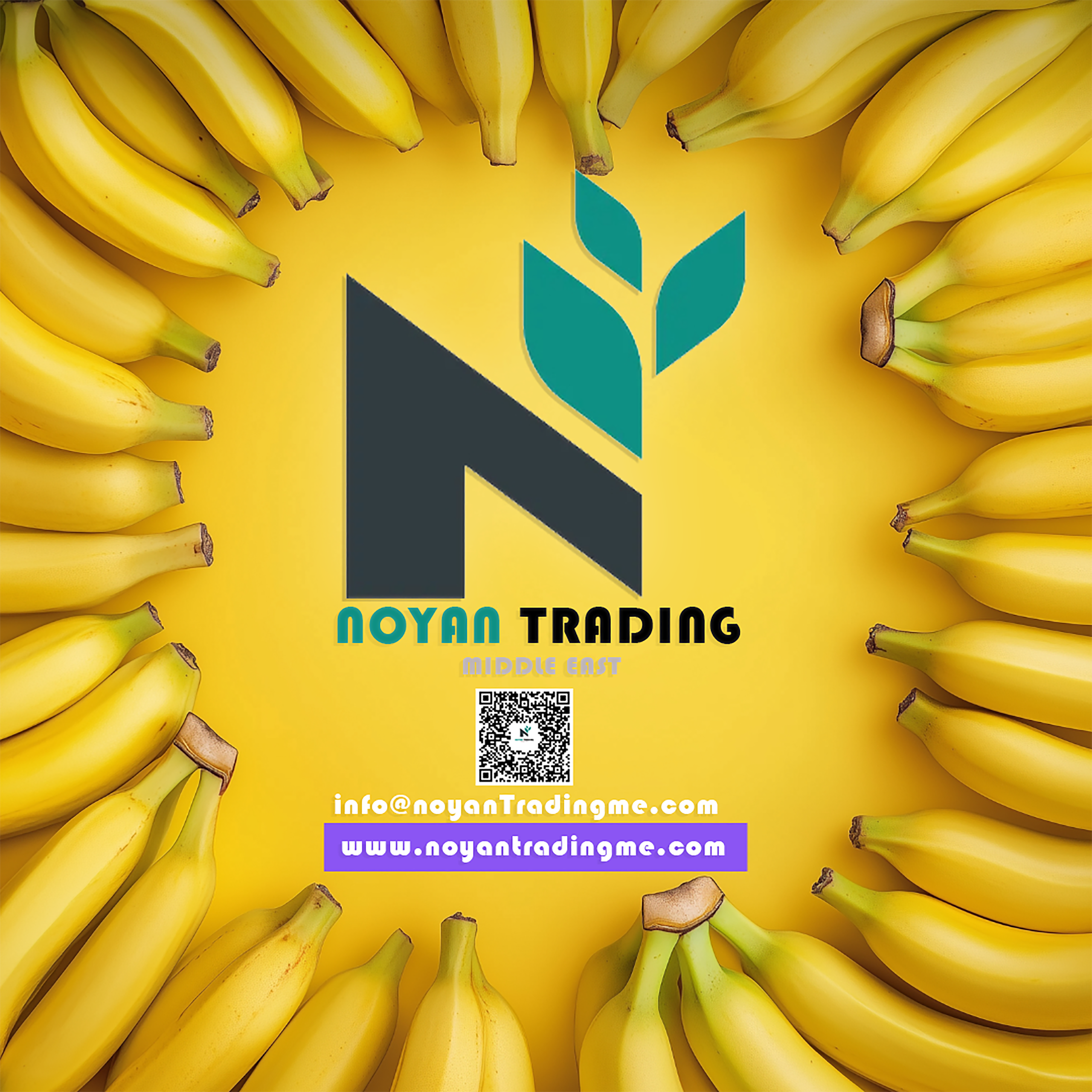 Noyan trading Middle East