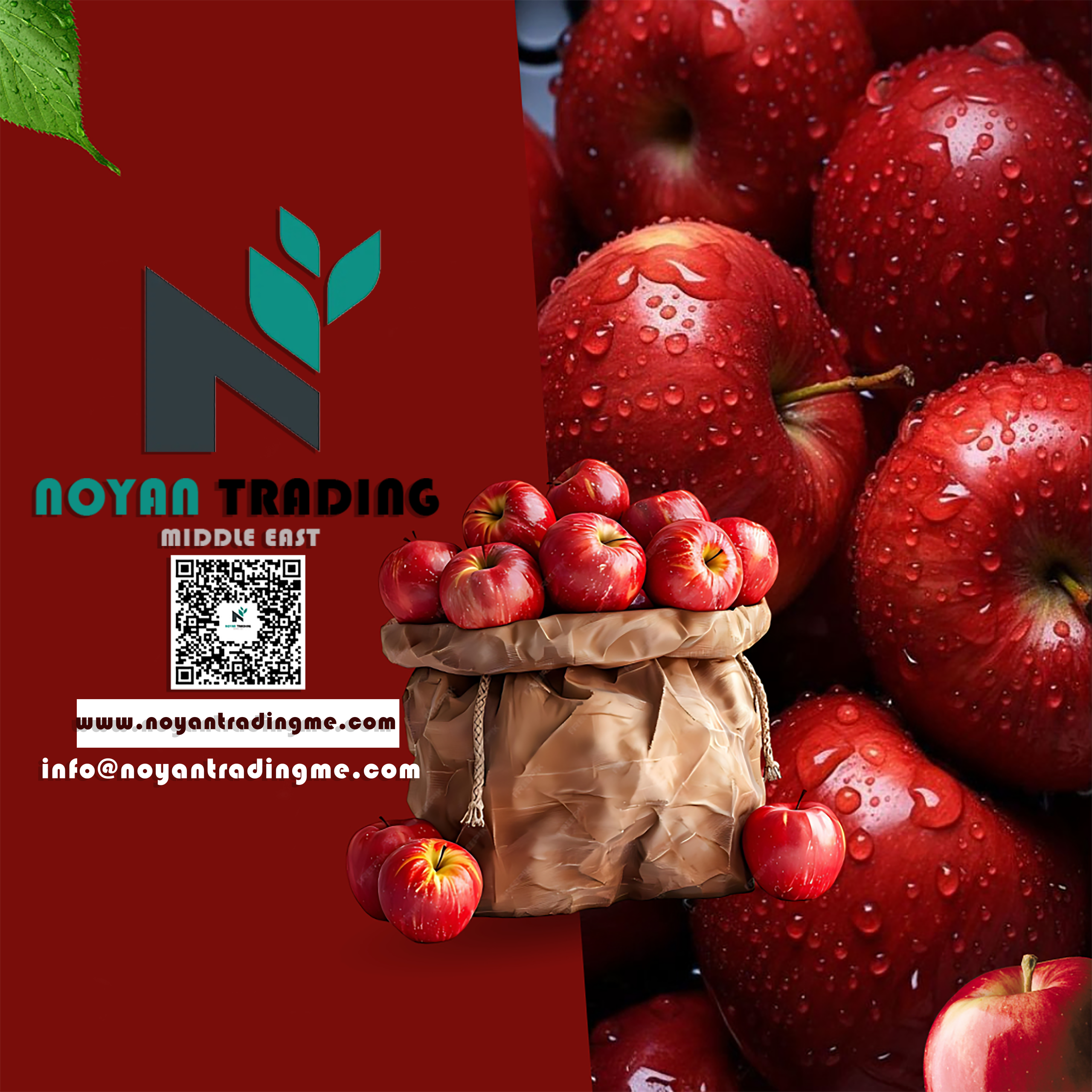Noyan trading Middle East
